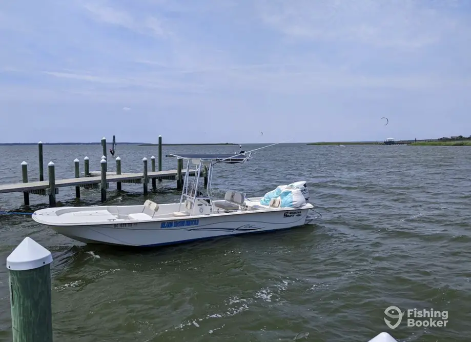 Island Water Shuttle charter image 4