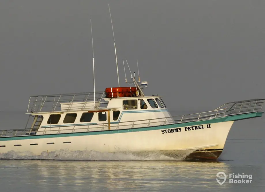 Stormy Petrel Charters charter image 4