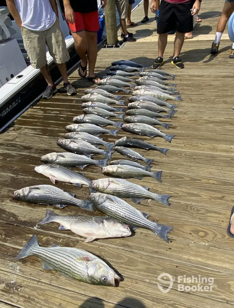 Rod Bendin Guide Service