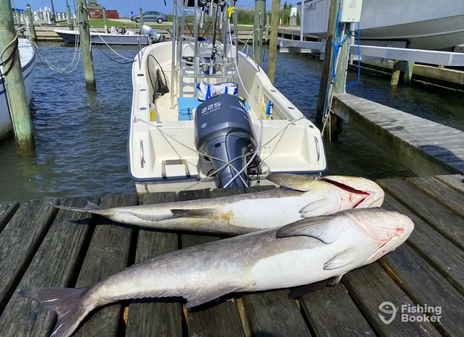 Flying Fish Charters OBX – Manteo charter image 4