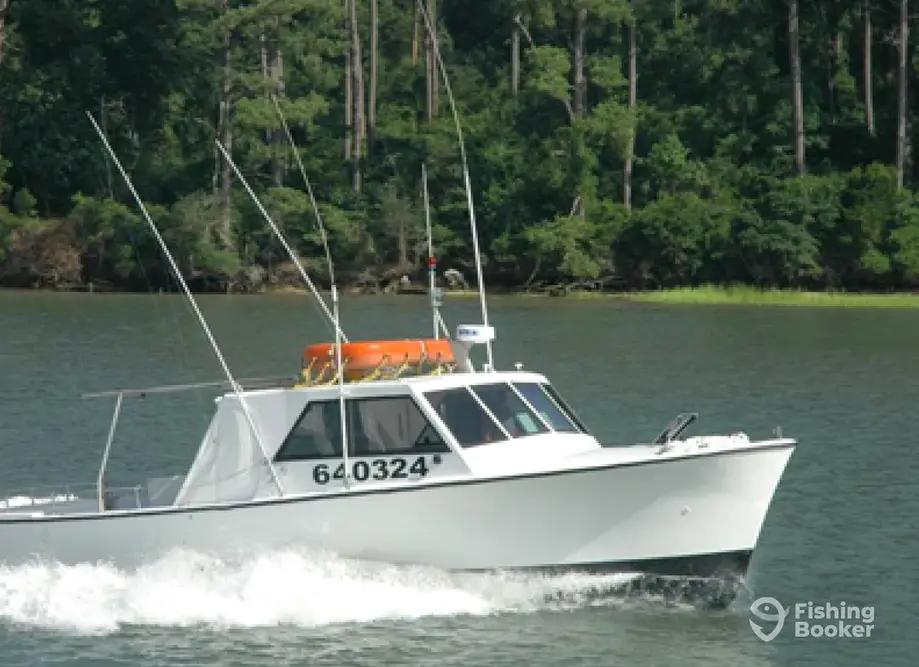 Fish Screamer III