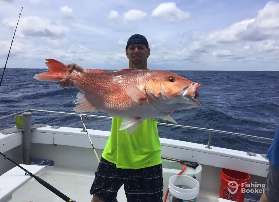Fish Screamer III charter image 3