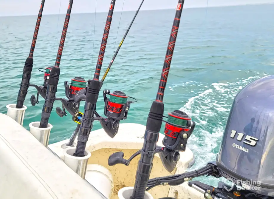 Coastal Discovery Adventures charter image 3