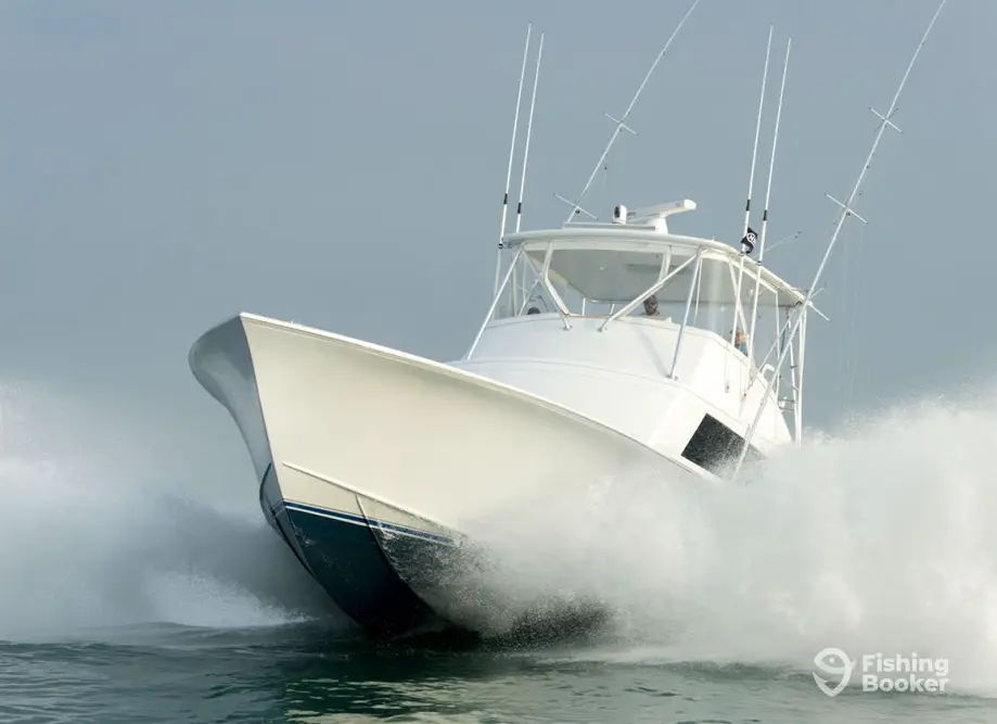 Citation SportFishing charter image 2