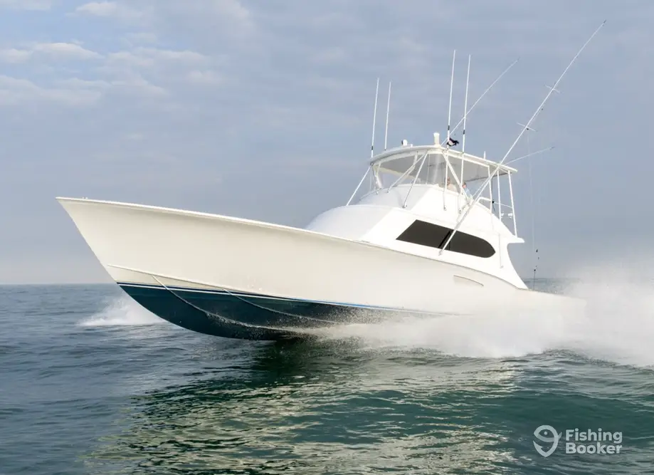 Citation SportFishing charter image 3