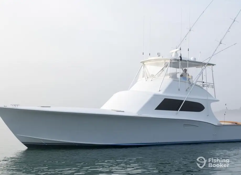 Citation SportFishing charter image 4