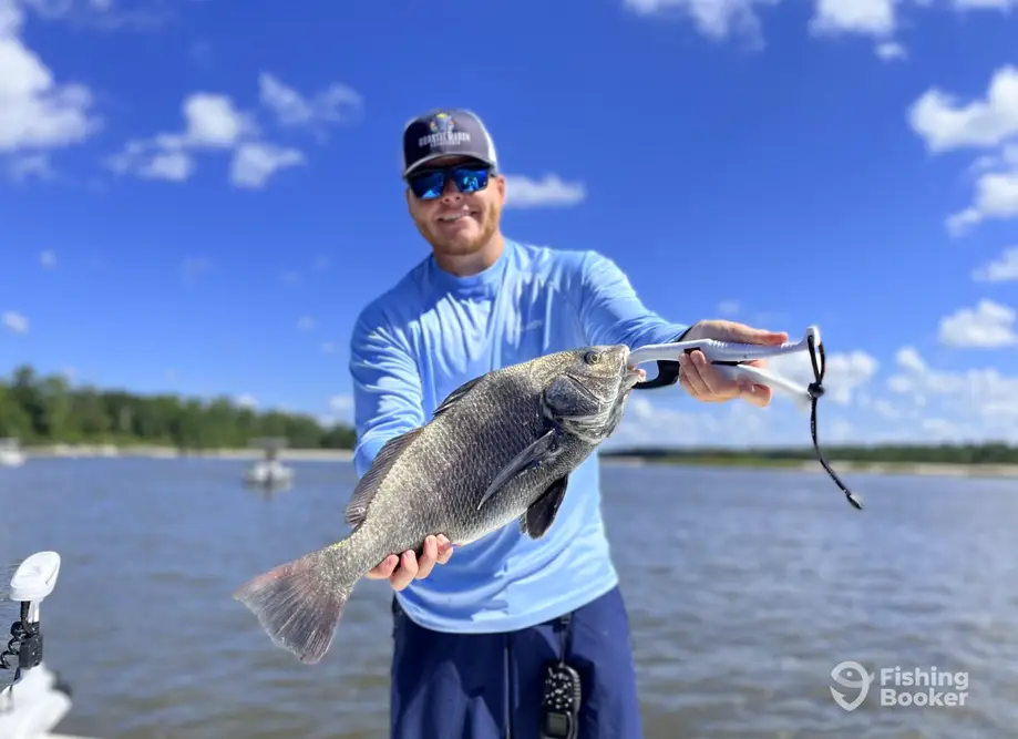 Coastal Marsh Adventures charter image 3
