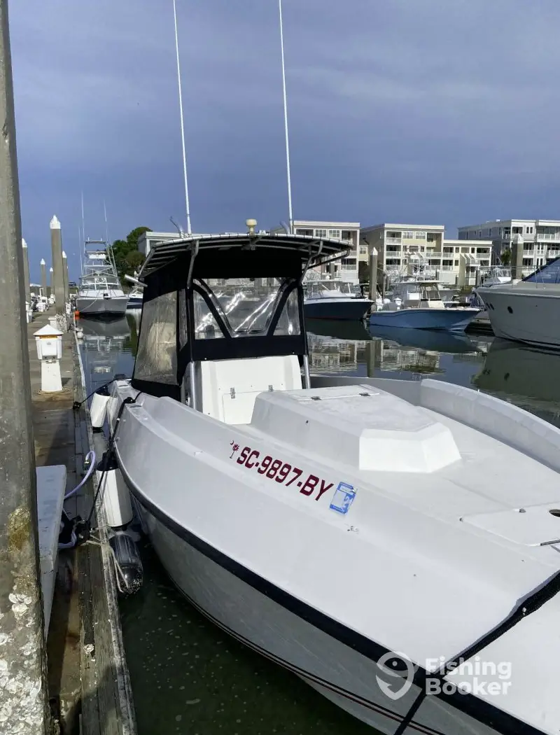 Short Skirts Sportfishing Charters charter image 4
