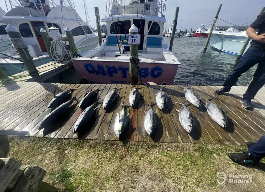 Capt BC Sportfishing charter image 3