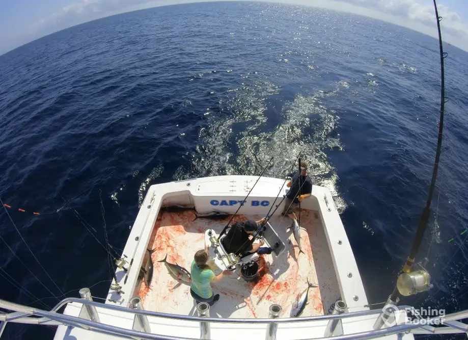 Capt BC Sportfishing charter image 4