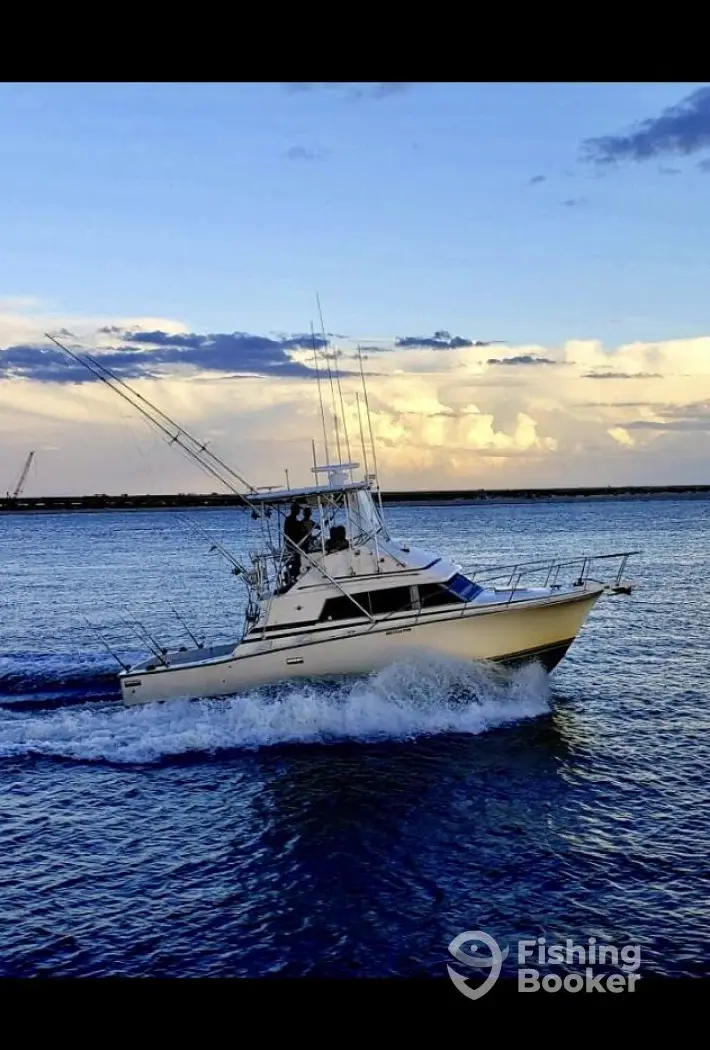 Instigator Sportfishing