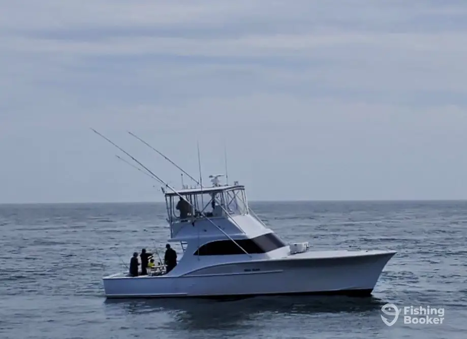 Sea Hag Sportfishing