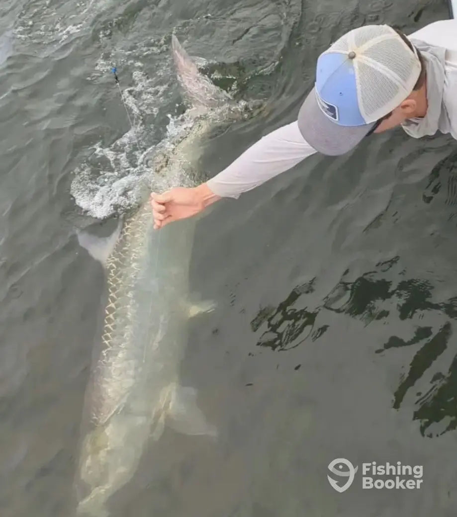Hilton Head Inshore Charters charter image 4