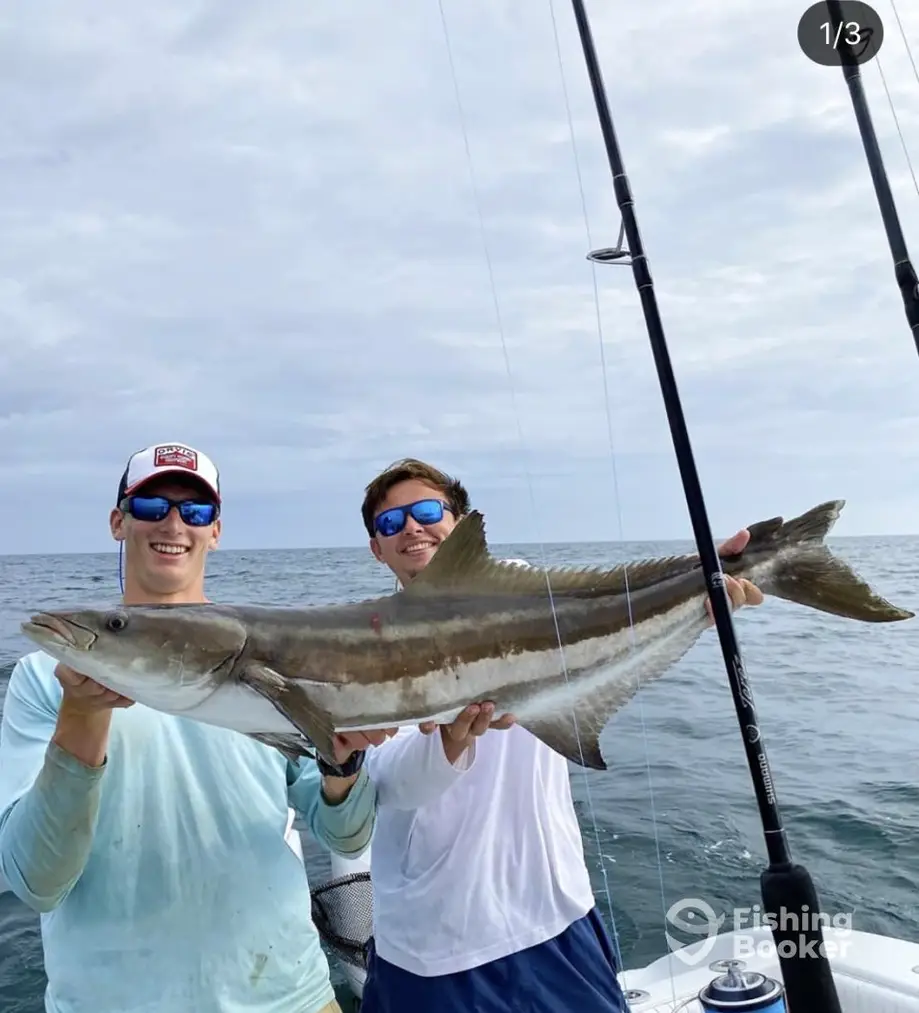 Hilton Head Inshore Charters charter image 5