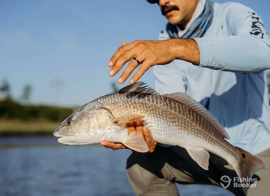Ace Outdoors Charleston charter image 3
