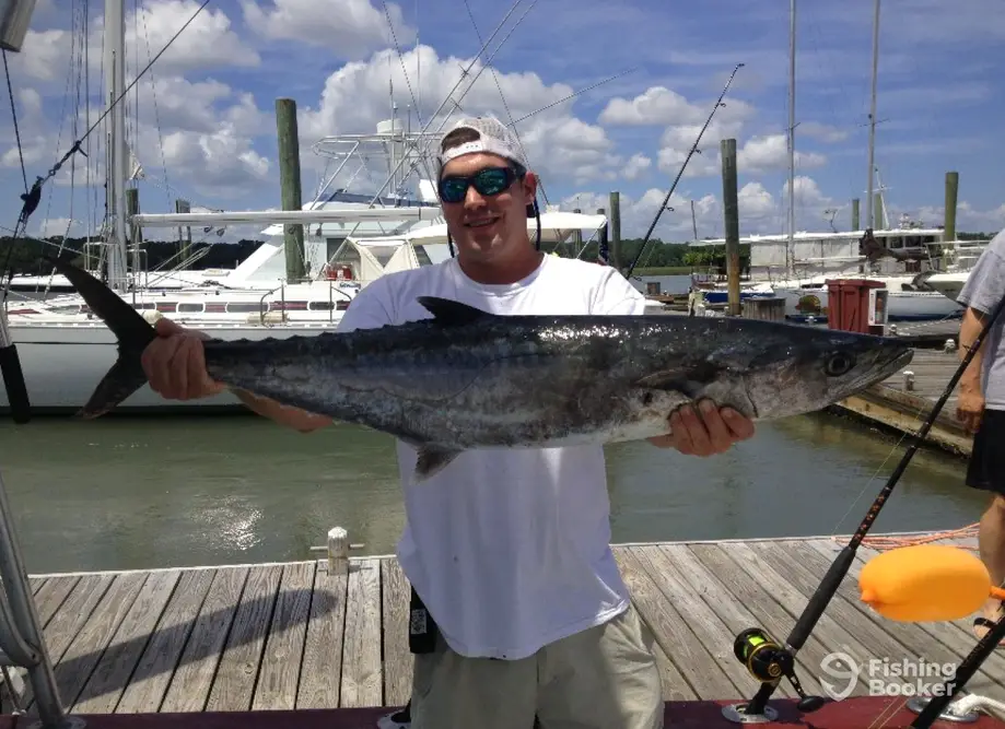 Top Shot Sport Fishing Hilton Head