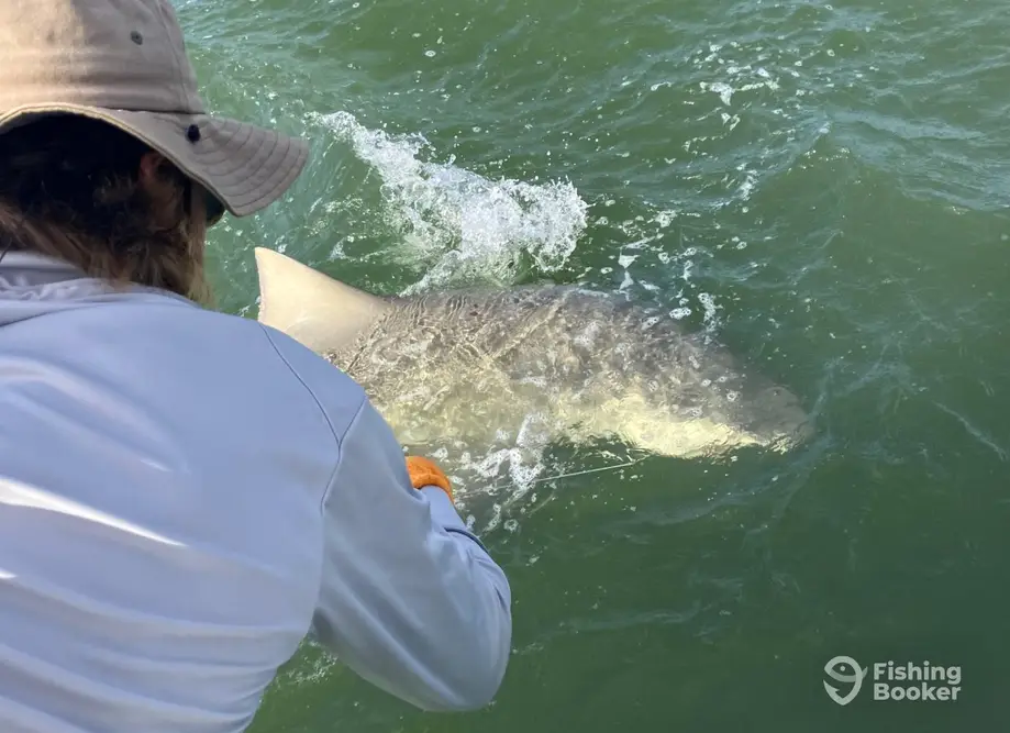 Drifter Excursions – Boomerang 2 charter image 4