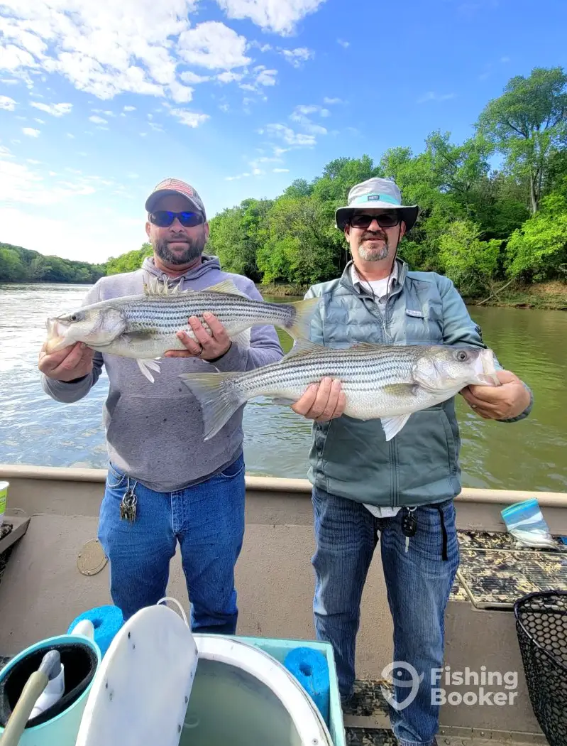 Fireline Fishing – Lower Roanoke River charter image 5