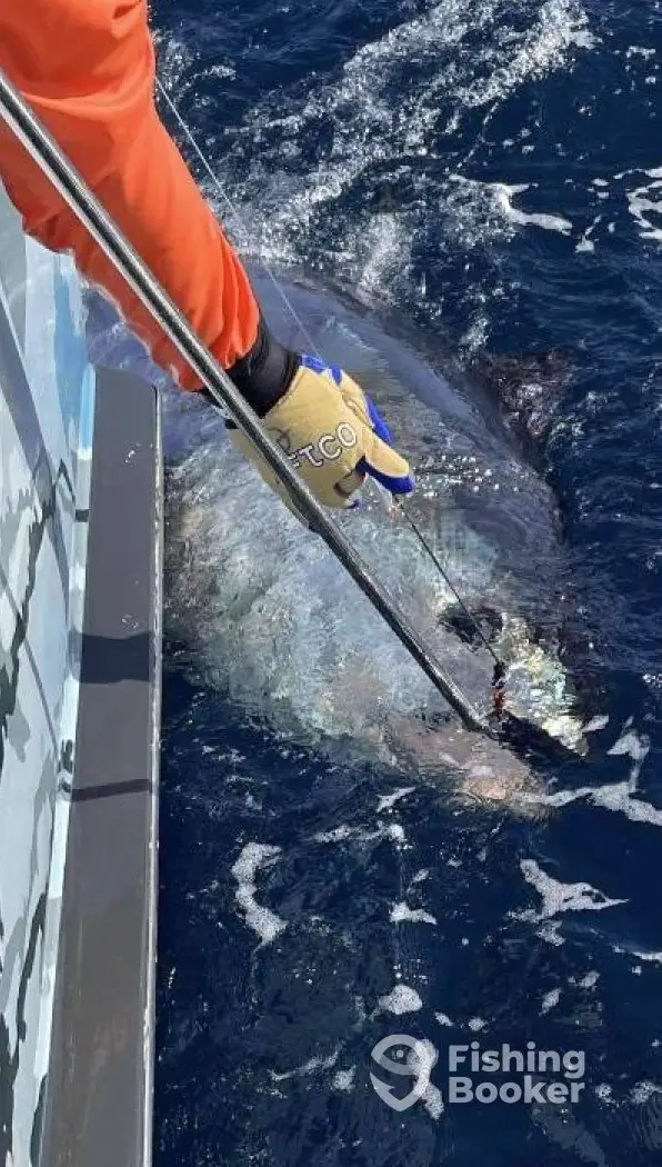 Smoker Sportfishing charter image 6