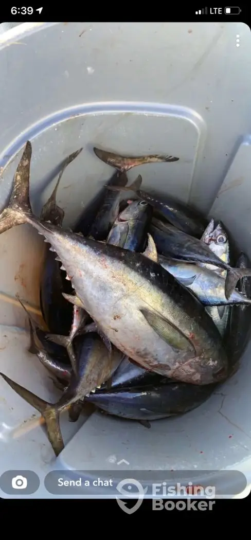 Cost of Living Sportfishing charter image 3