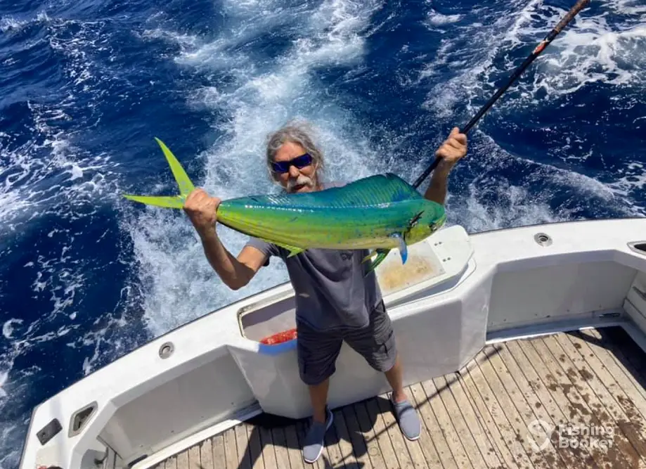 Wild Card Charters