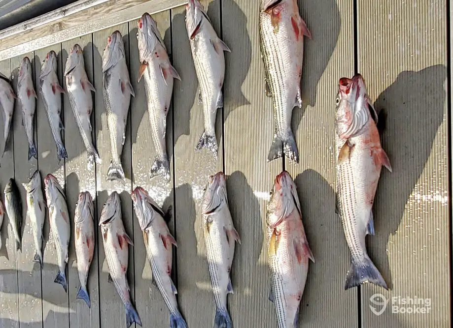 Playin Hooky Fishing Guide charter image 6