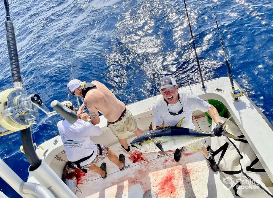 Good to Go Sportfishing Charters charter image 2