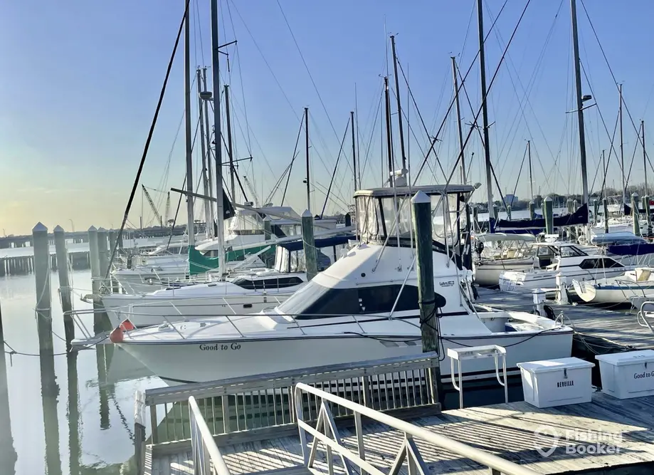 Good to Go Sportfishing Charters charter image 5