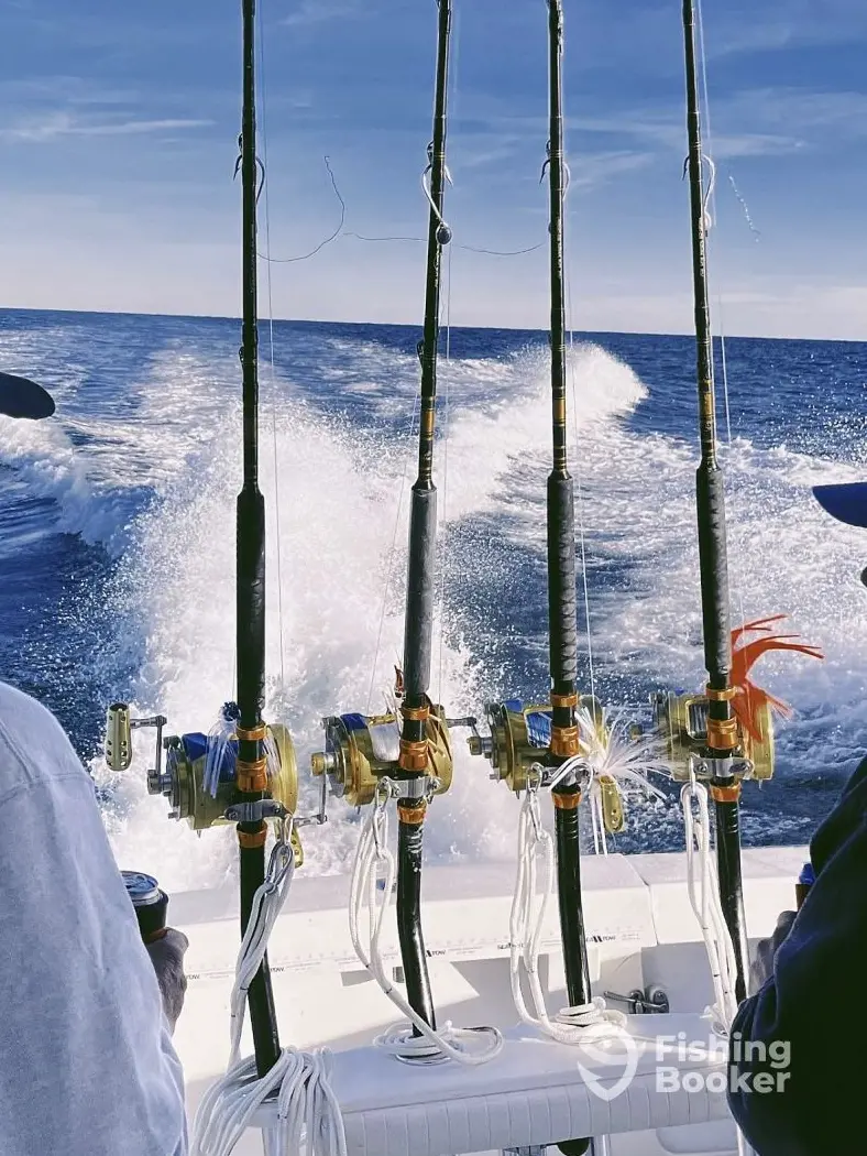 Good to Go Sportfishing Charters charter image 6