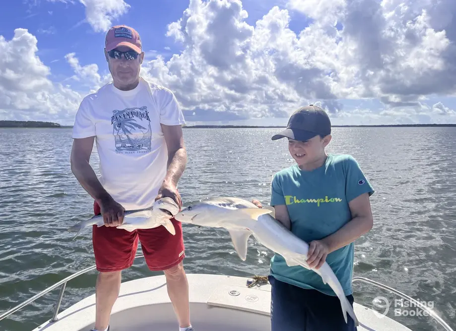 Family Shark Fishing & Dolphin Tours 3