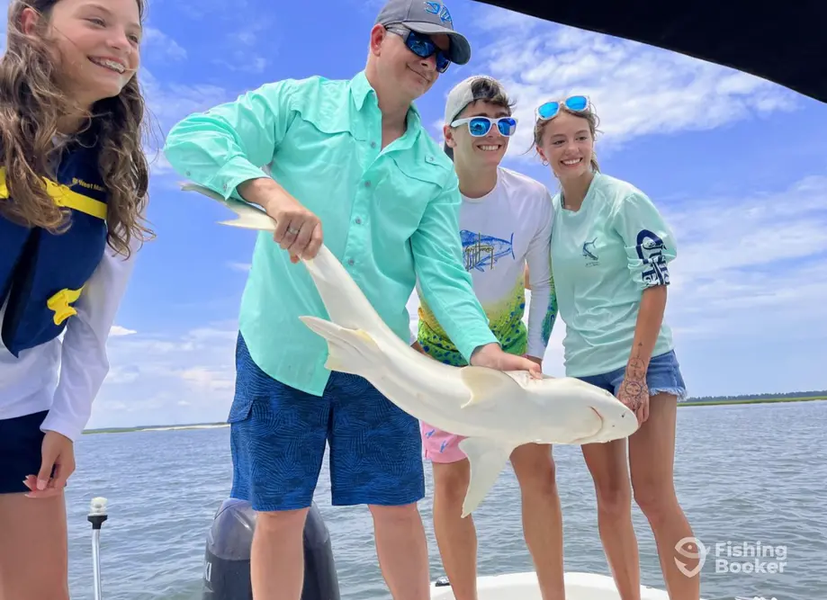 Family Shark Fishing & Dolphin Tours 3 charter image 2