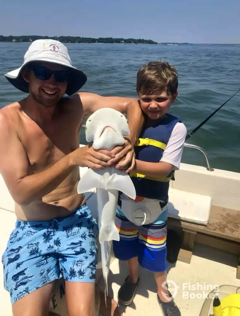 Family Shark Fishing & Dolphin Discoveries 2 charter image 4
