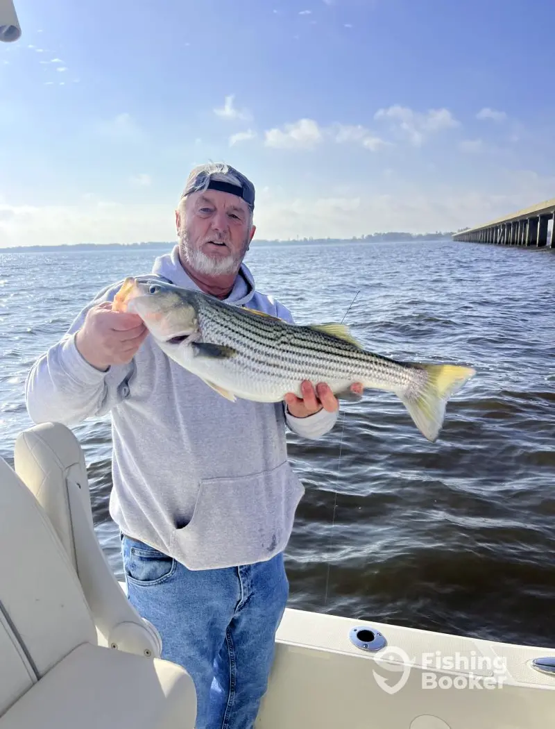 Fish The Albemarle