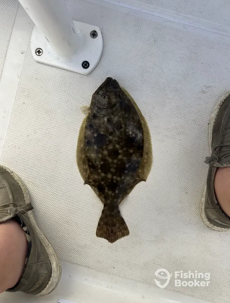 Fish The Albemarle charter image 6