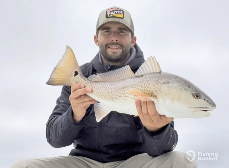 RedTail Charters