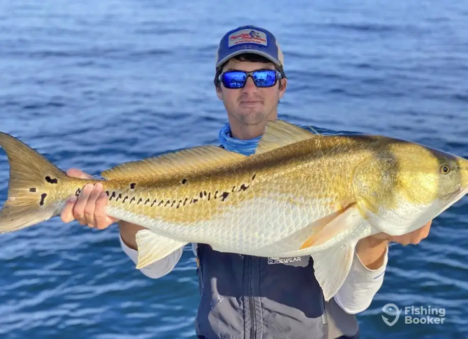 Bay Runner Sportfishing charter image 4