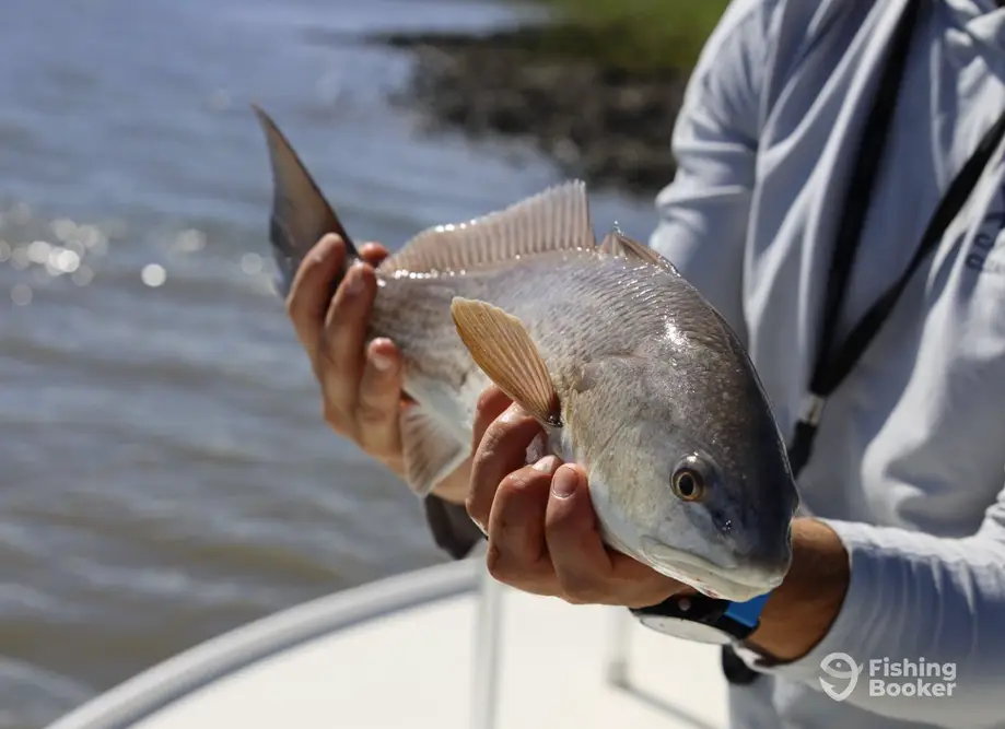 Captain Tim’s Fishing Charters charter image 6
