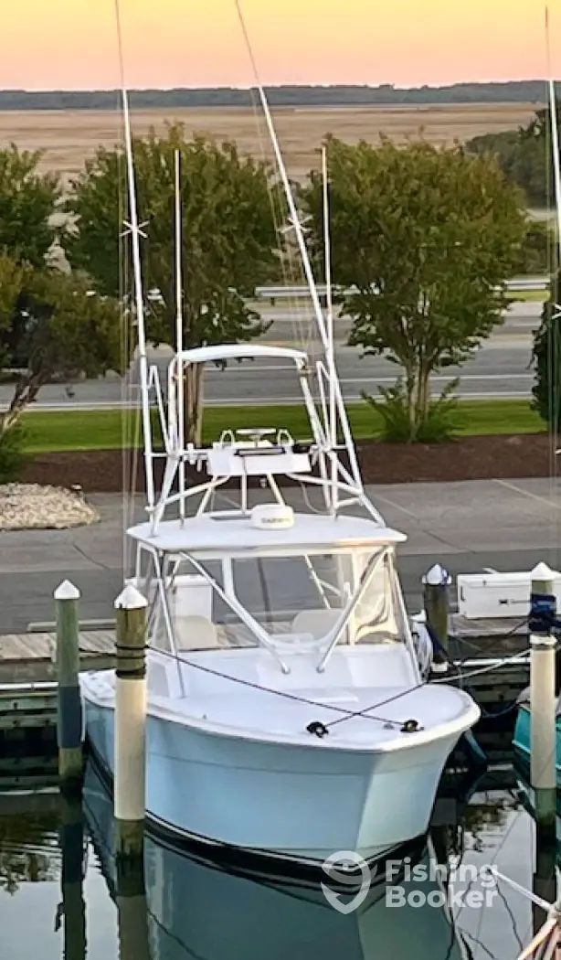 Miss Banx charter image 5