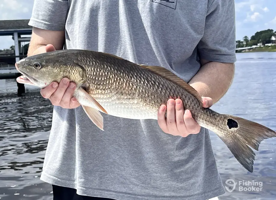 Salty Session Fishing Company, LLC charter image 6