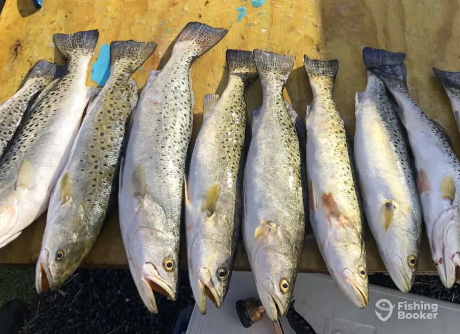 ReelFowl Charters charter image 4