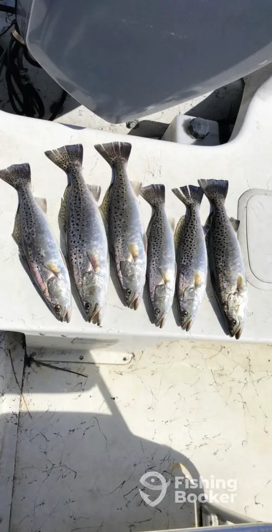ReelFowl Charters charter image 6