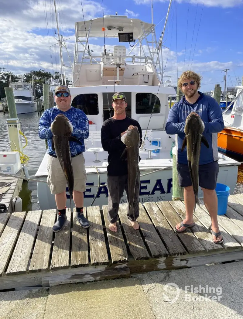 Sea Reaper Sportfishing charter image 3