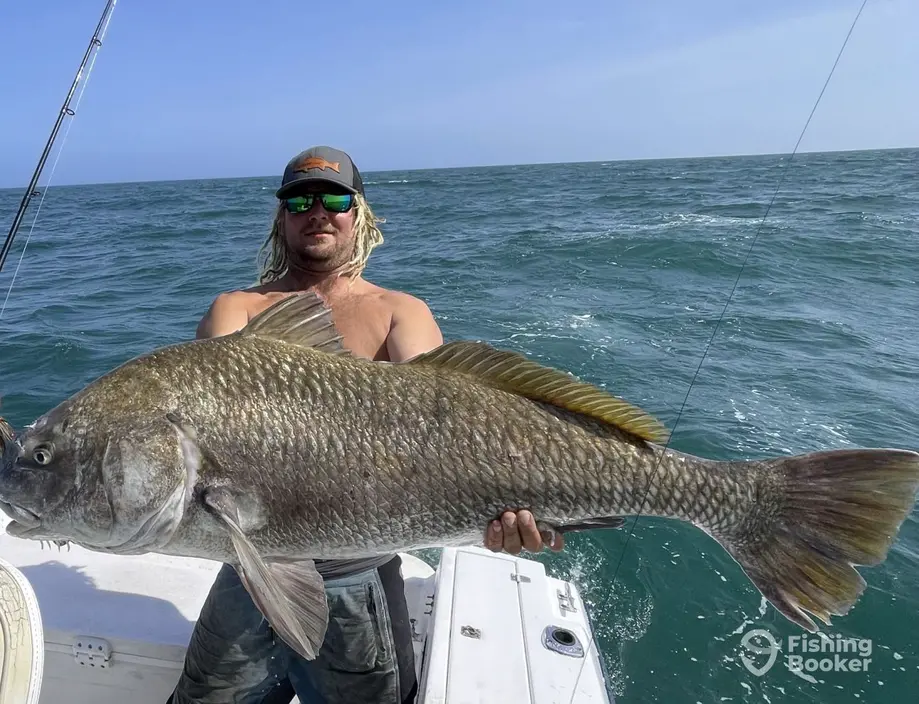 Sea Reaper Sportfishing charter image 6