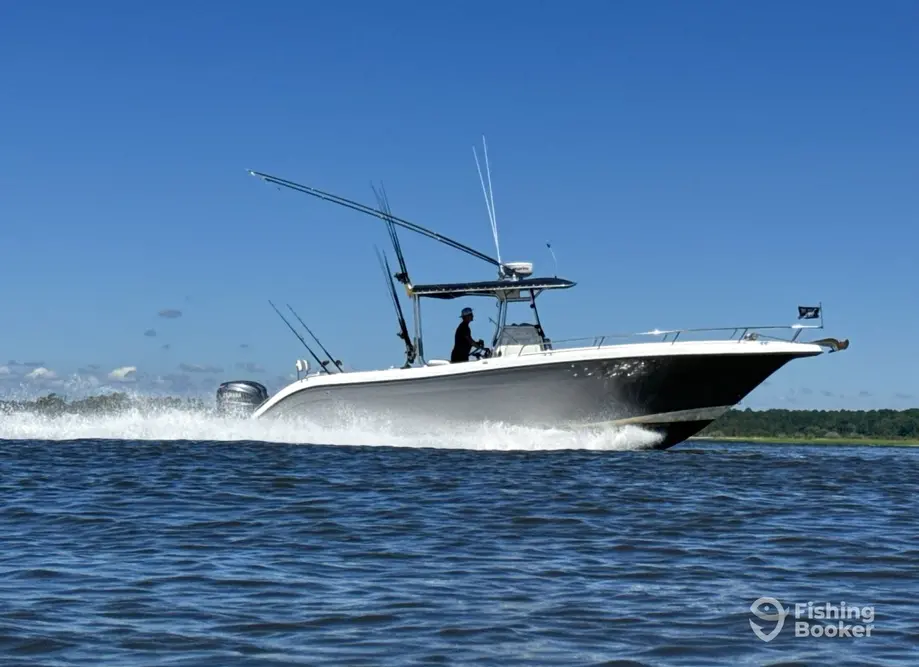 Bluewater Deep Sea Fishing