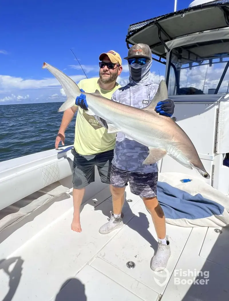 Bluewater Deep Sea Fishing charter image 2
