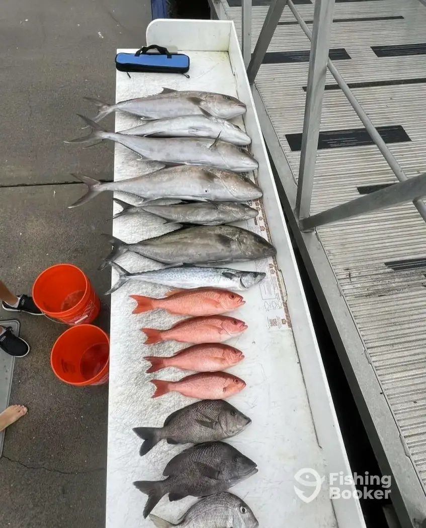 Bluewater Deep Sea Fishing charter image 4