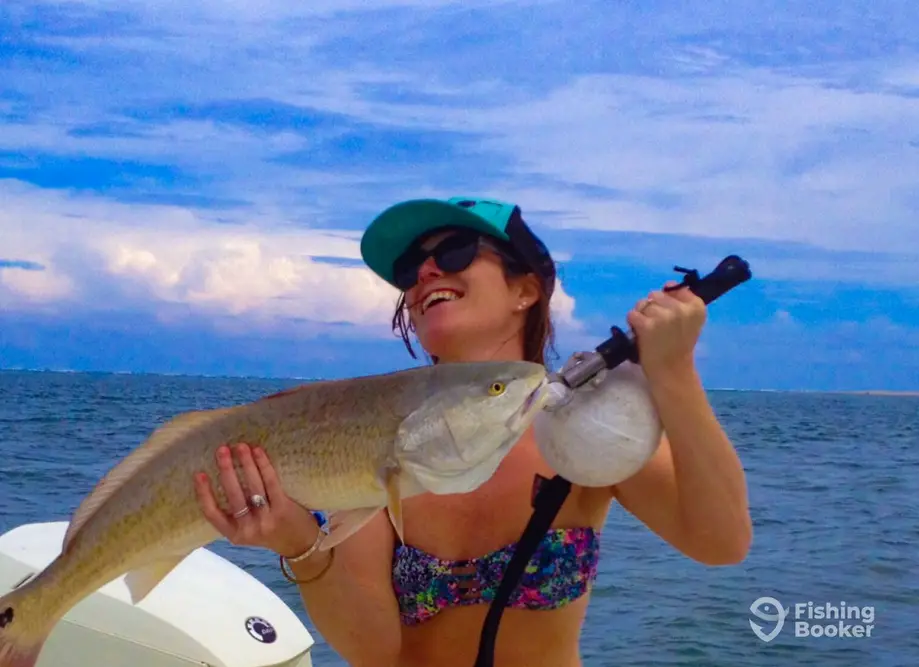 Fishy Bizness Sportfishing charter image 3
