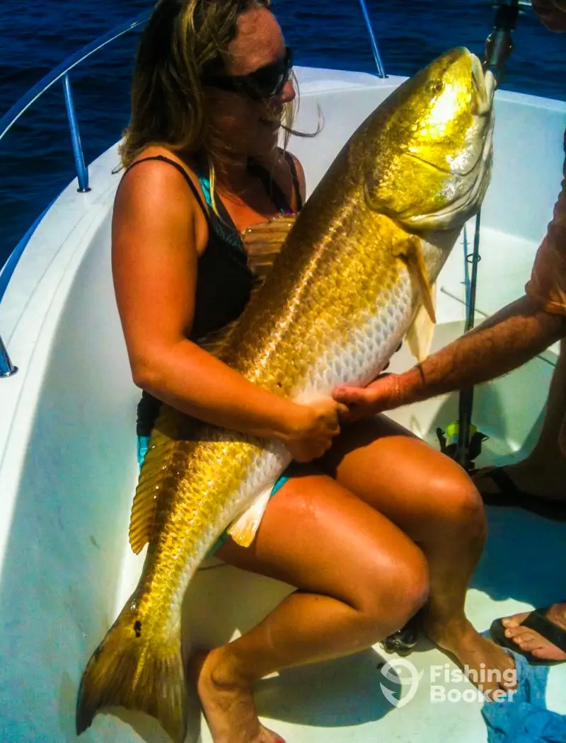 Fishy Bizness Sportfishing charter image 6