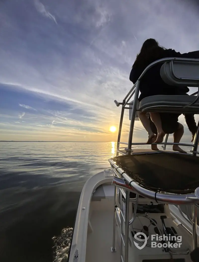 Endless Summer Charters charter image 4