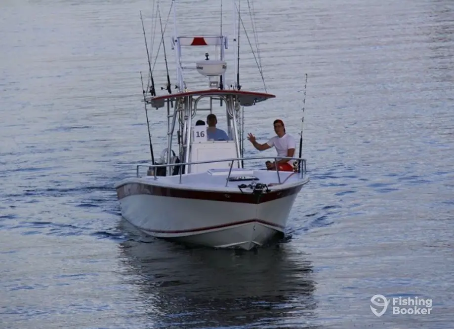 Fish Advisor - Wanchese charter image 5